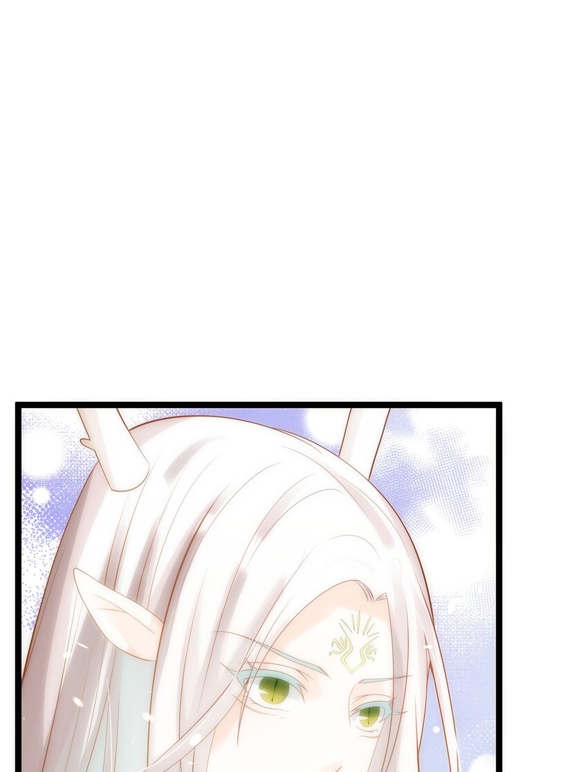 《炮灰女配被迫营业》018 大精灵与前代圣女 第30页