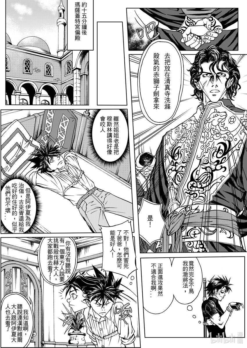 《狂野新月》第十九章 阿米尔攻略 第11页