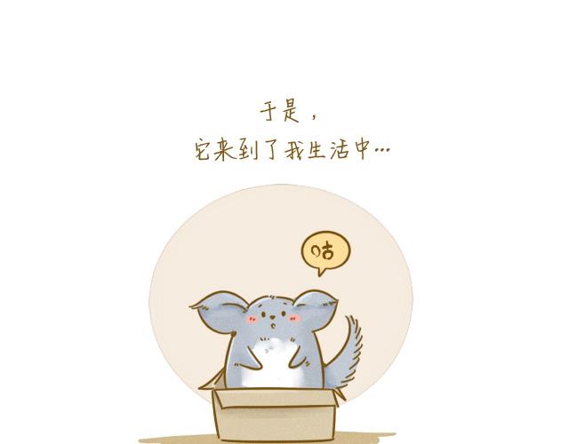 《我是一个蛋》对不起，谢谢你 第17页