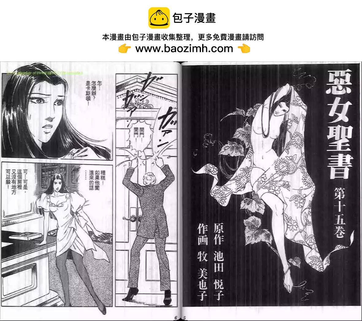 《恶女圣书》第15卷 第2页