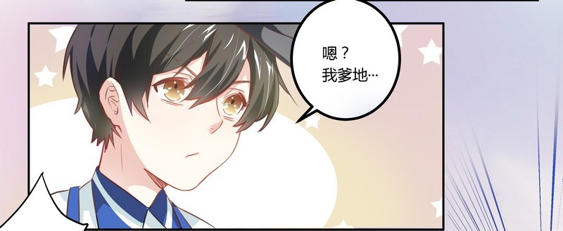 《总裁的天价萌妻》003 私生子 第17页