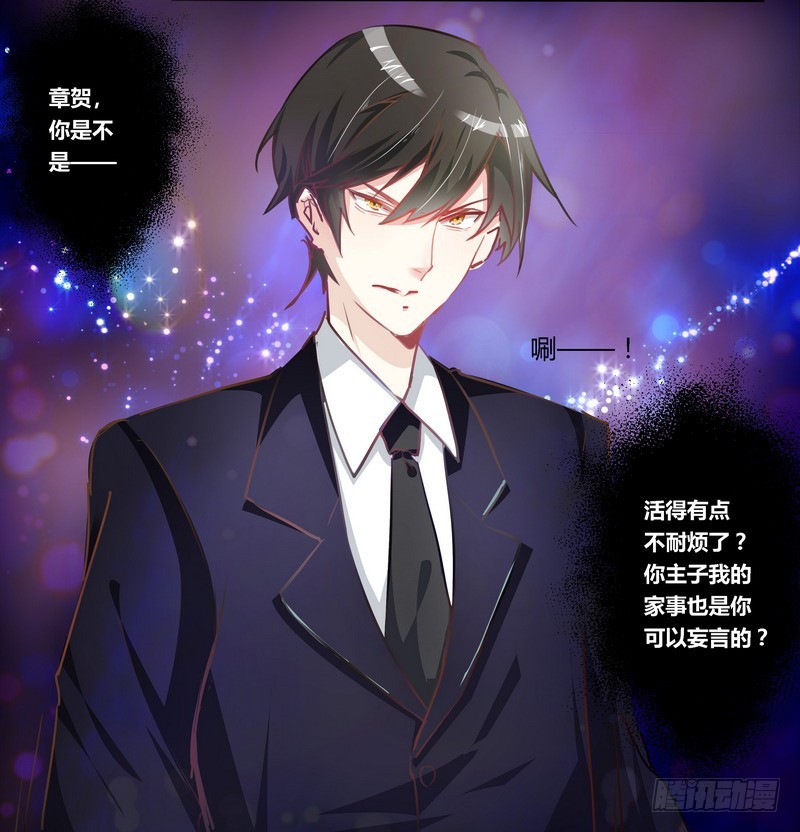 《总裁的天价萌妻》003 私生子 第26页