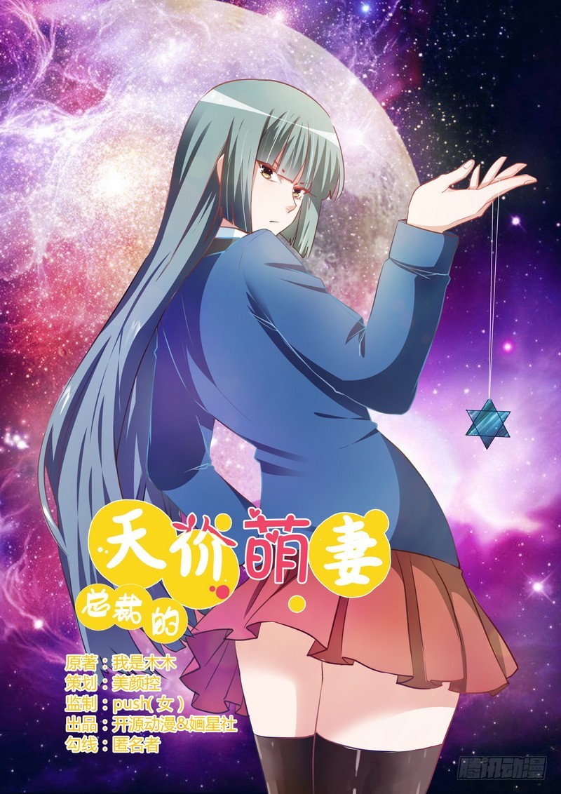 《总裁的天价萌妻》008 欢欢的小秘密 第1页