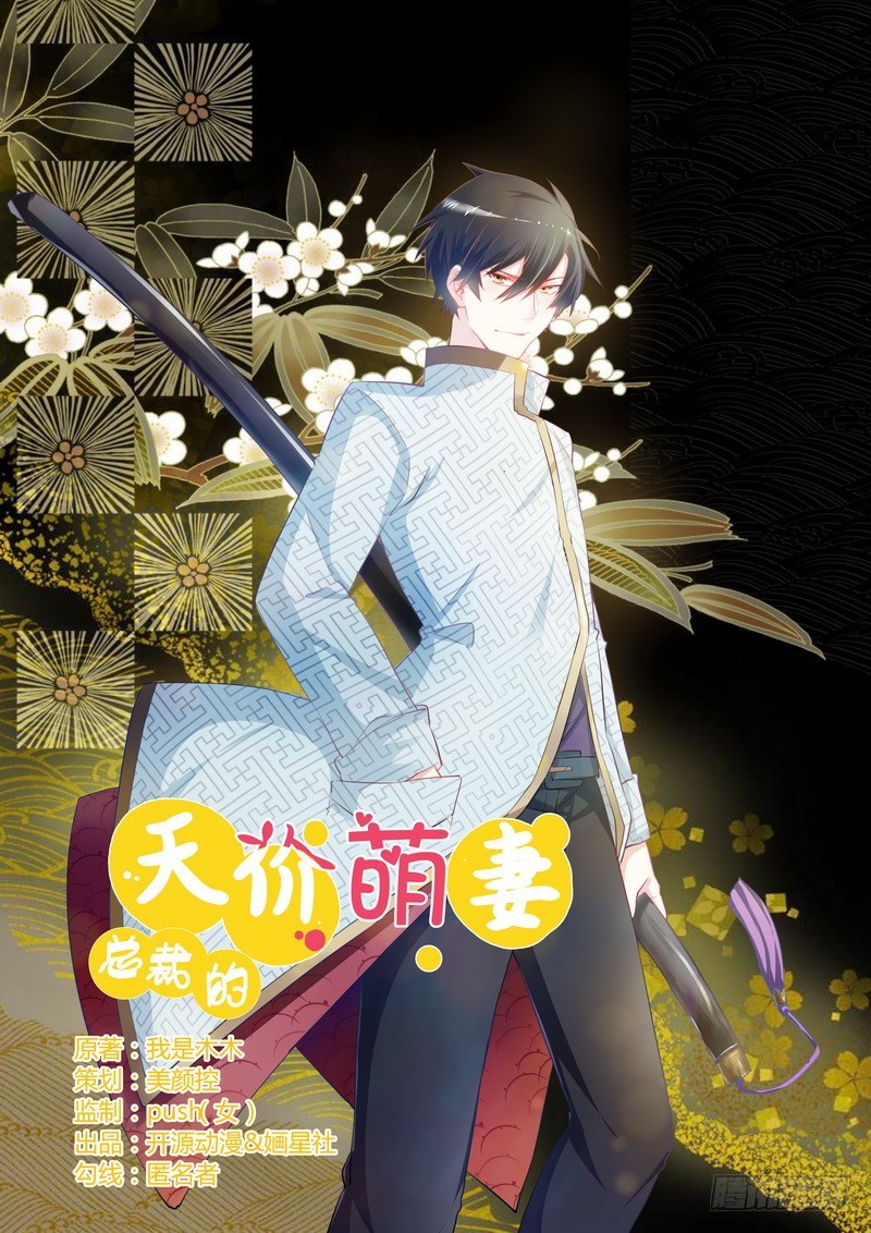 《总裁的天价萌妻》010 慕芷芜就是唐子萱 第1页
