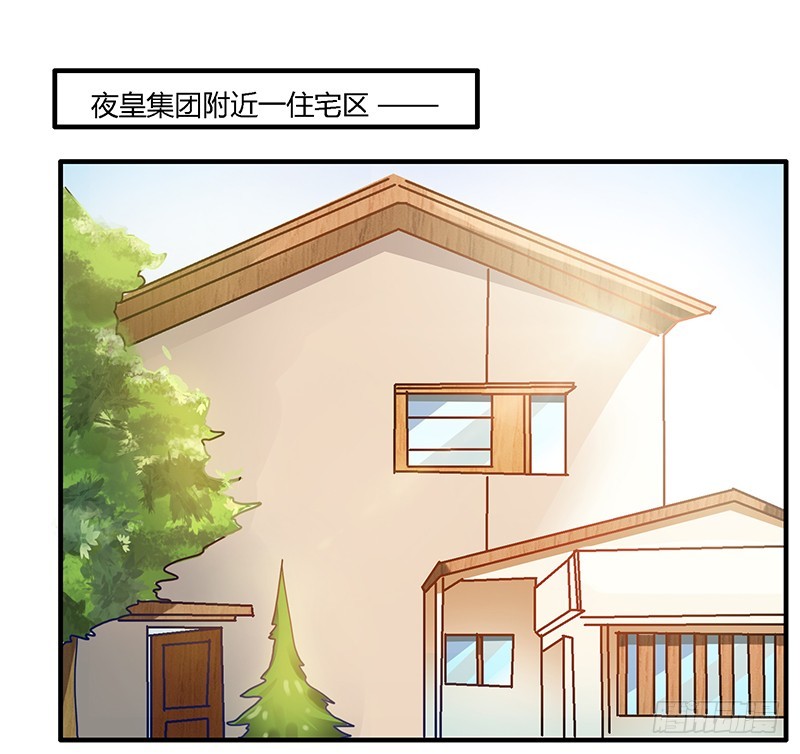 《总裁的天价萌妻》024 未免太巧了 第2页