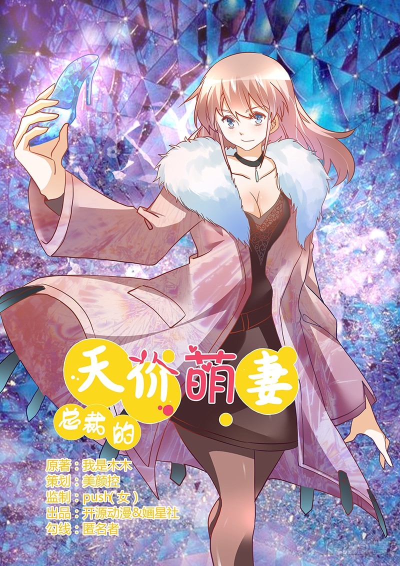 《总裁的天价萌妻》028 旧恨新仇 第1页