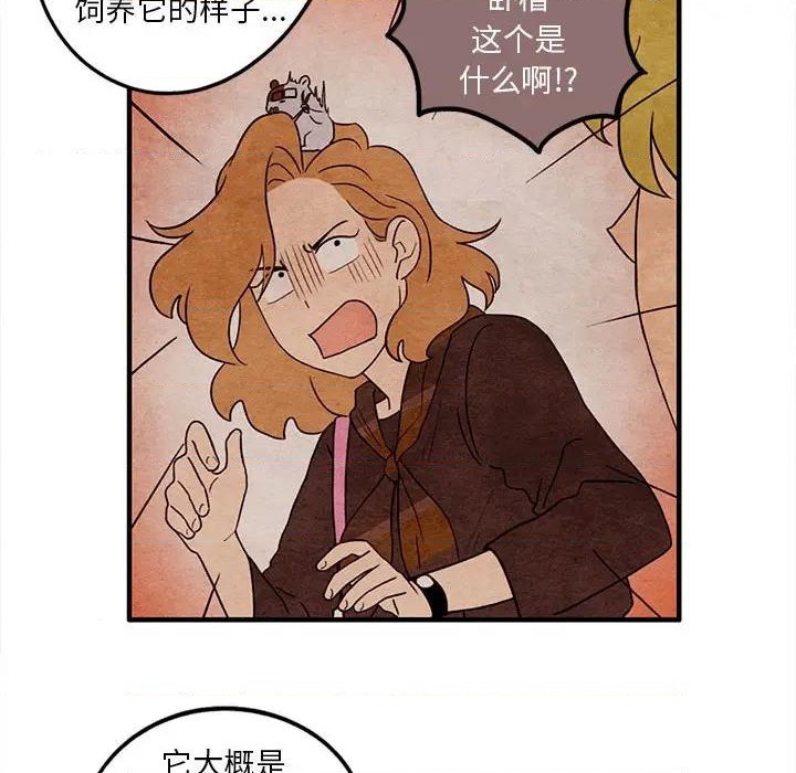 《超自然恋爱》第19话 第29页