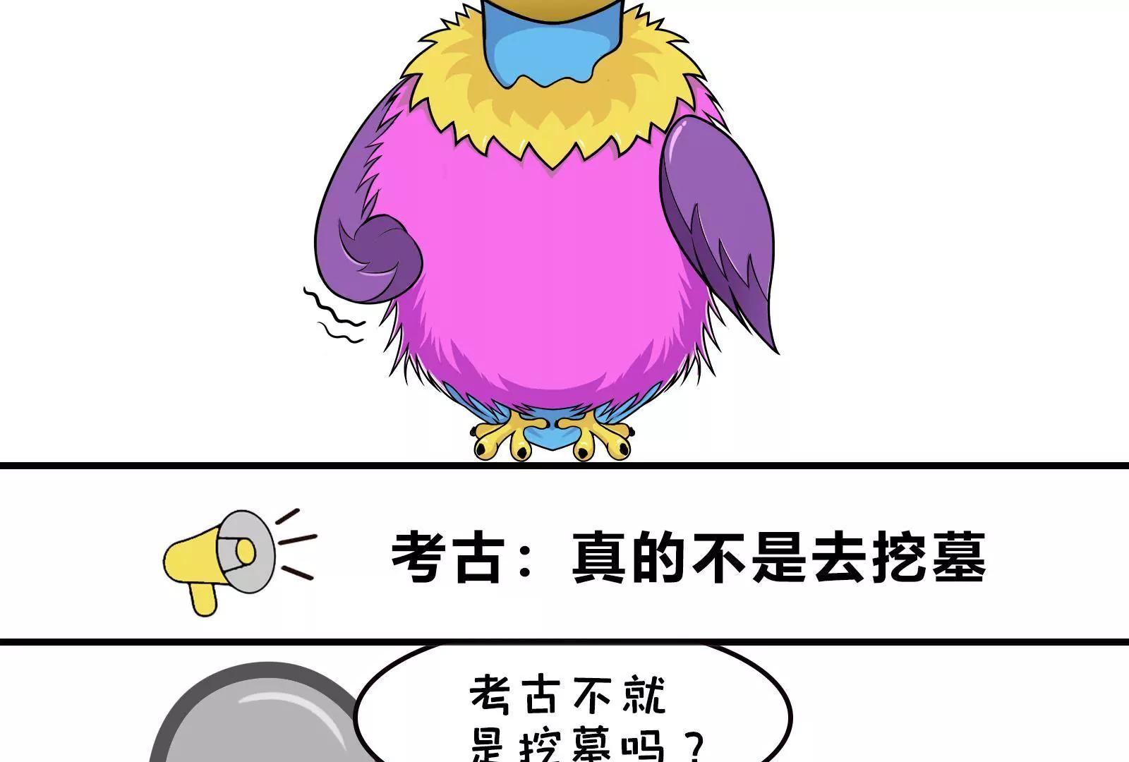 《空空说》那些被误解的职业 第14页