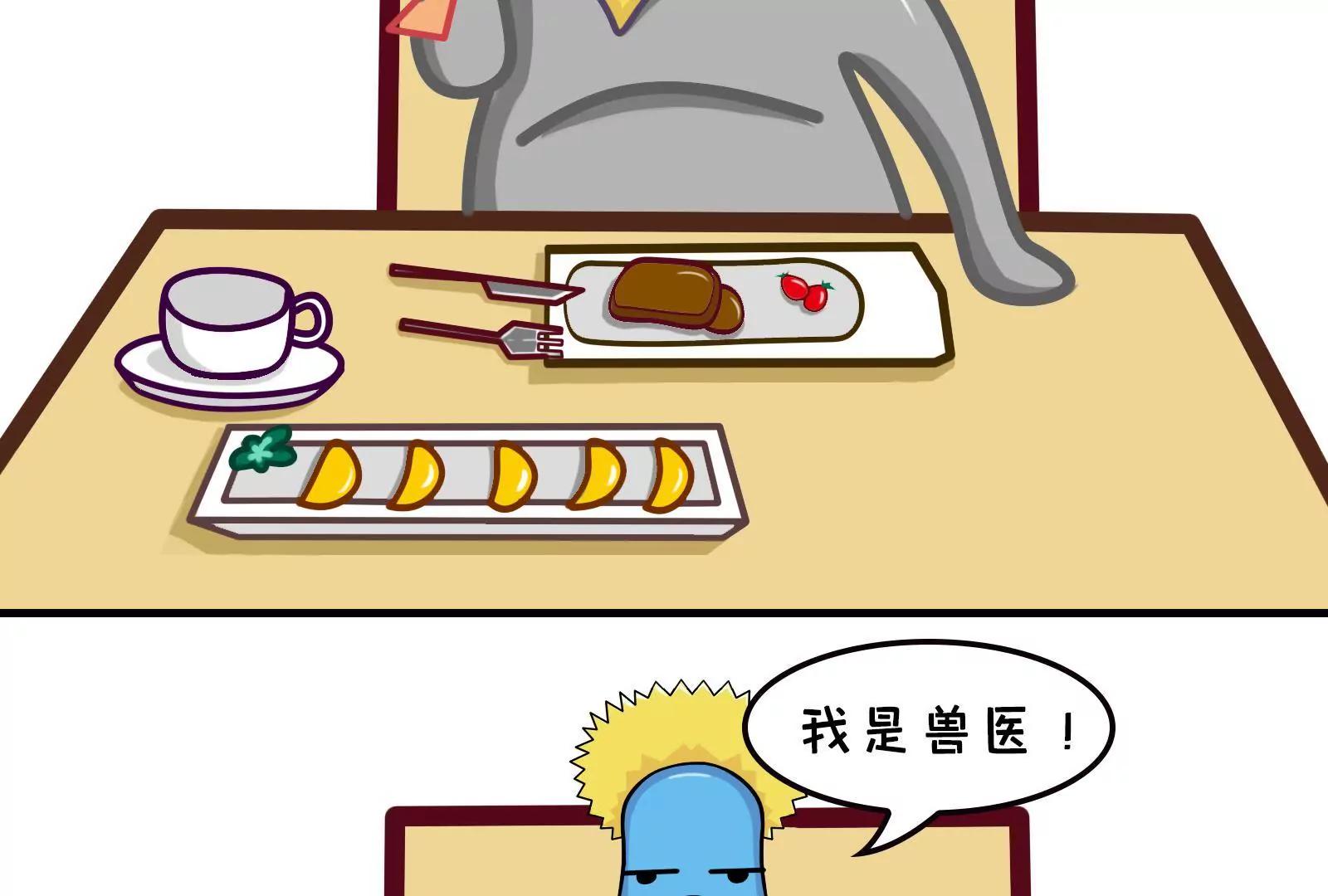 《空空说》那些被误解的职业 第7页