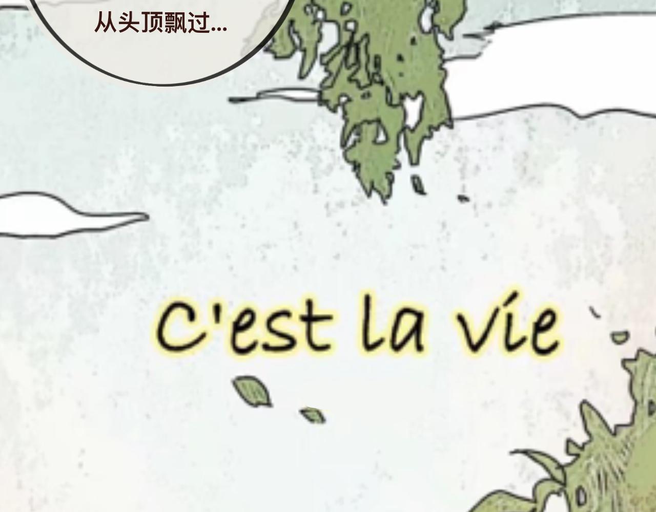 《c'est la vie》2022的初秋 第11页