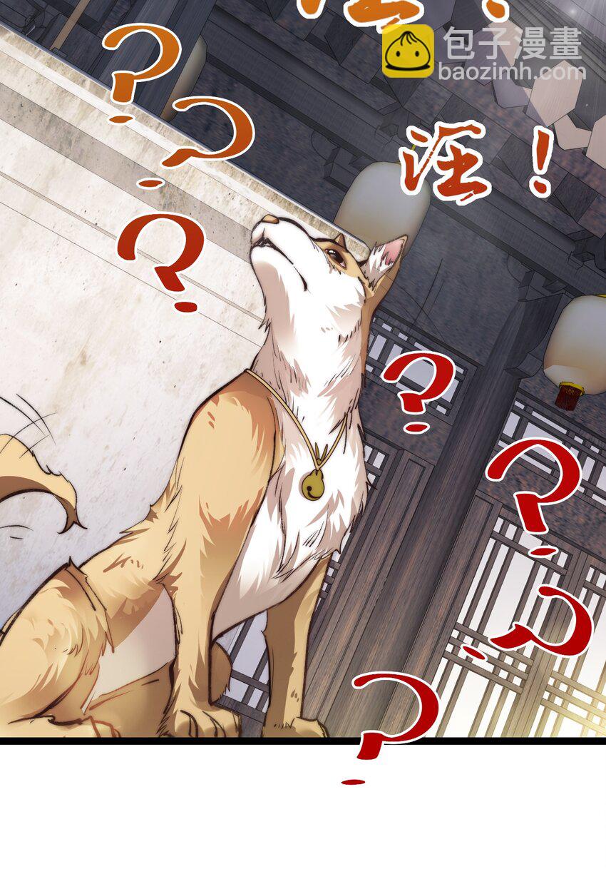 《修真之天命大废材》009 是谁在狗叫？ 第36页