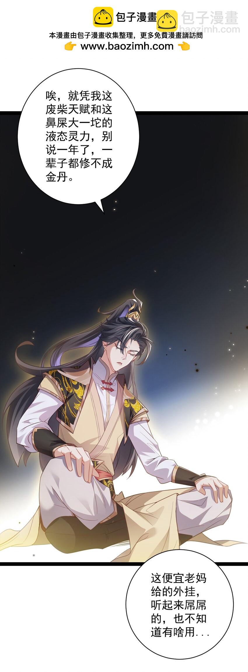《修真之天命大废材》021 破境金丹 第27页