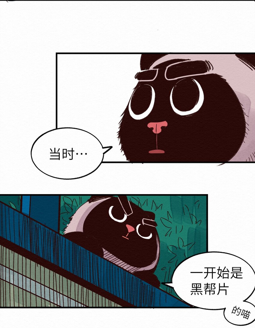 《这个岛有点妖》010 被表白了 第27页