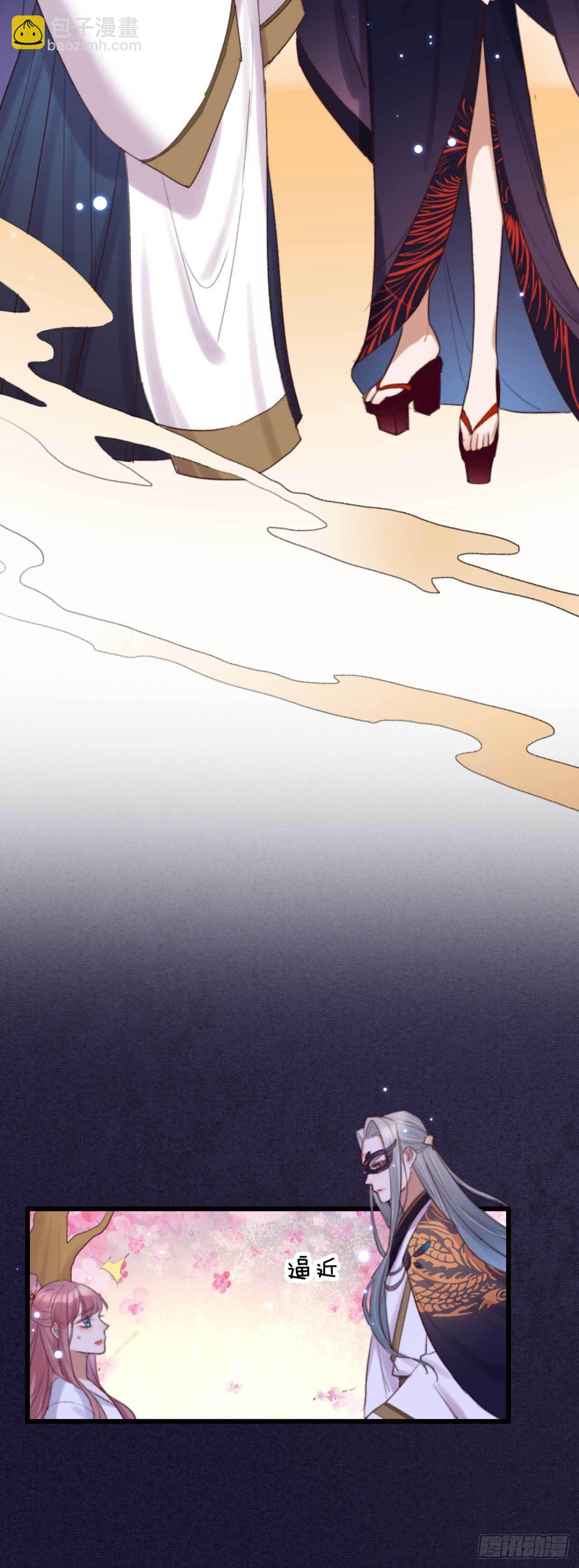 《帝尊狂宠神医特工废材妃》第2话 分期还是全款 第24页
