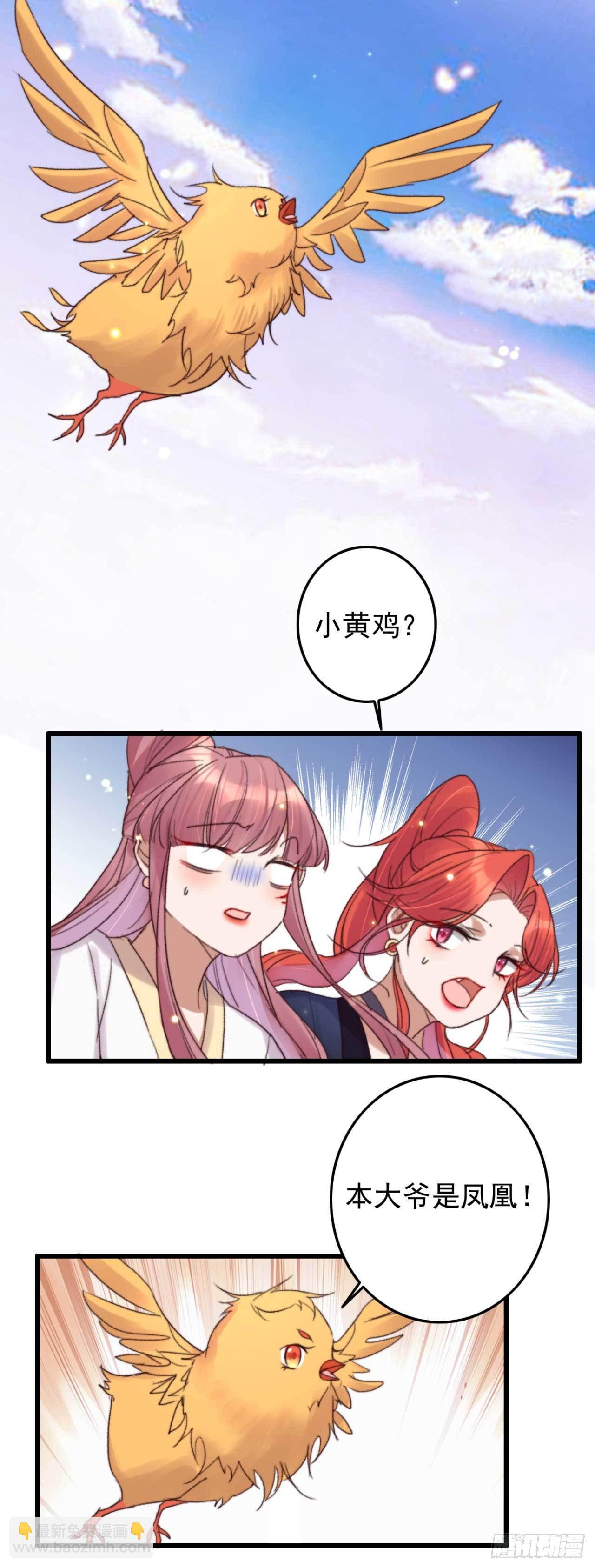 《帝尊狂宠神医特工废材妃》第11话 小黄鸡还是凤凰？ 第10页
