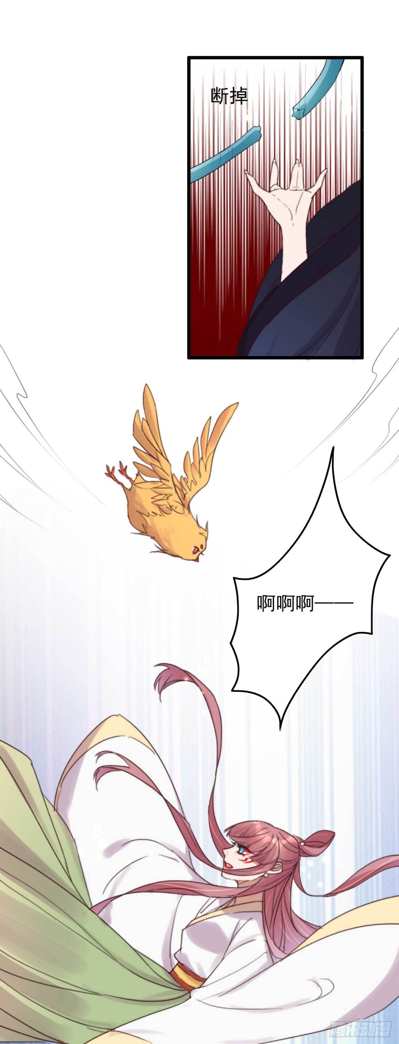 《帝尊狂宠神医特工废材妃》第11话 小黄鸡还是凤凰？ 第11页