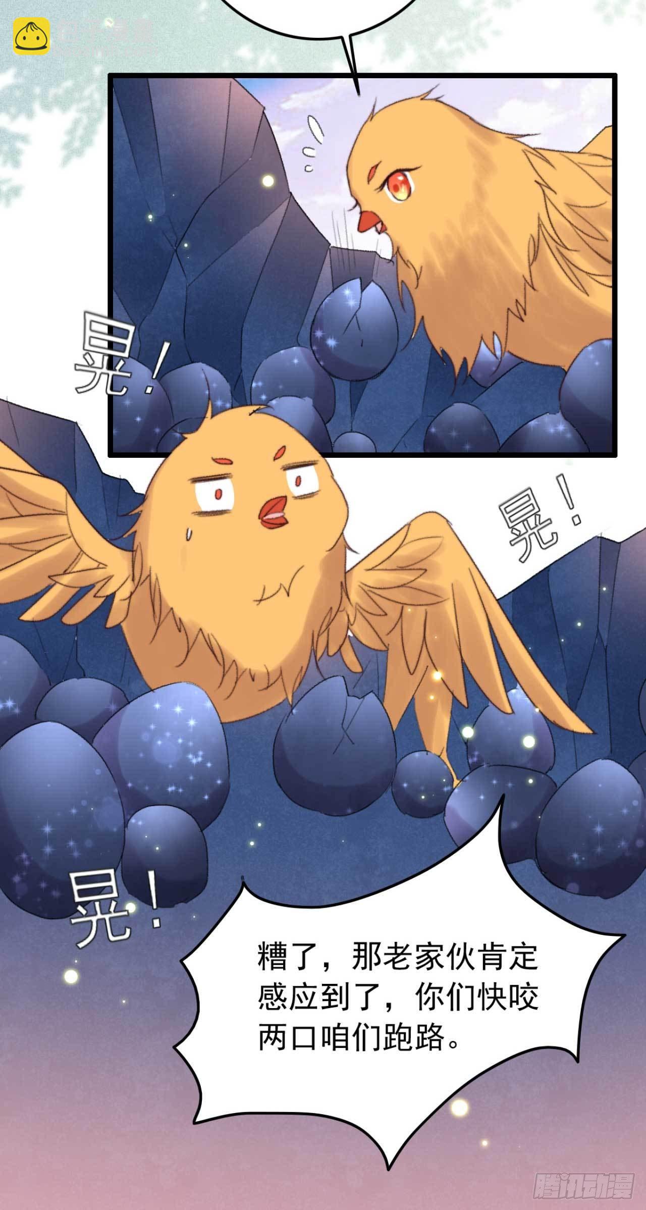 《帝尊狂宠神医特工废材妃》第11话 小黄鸡还是凤凰？ 第14页