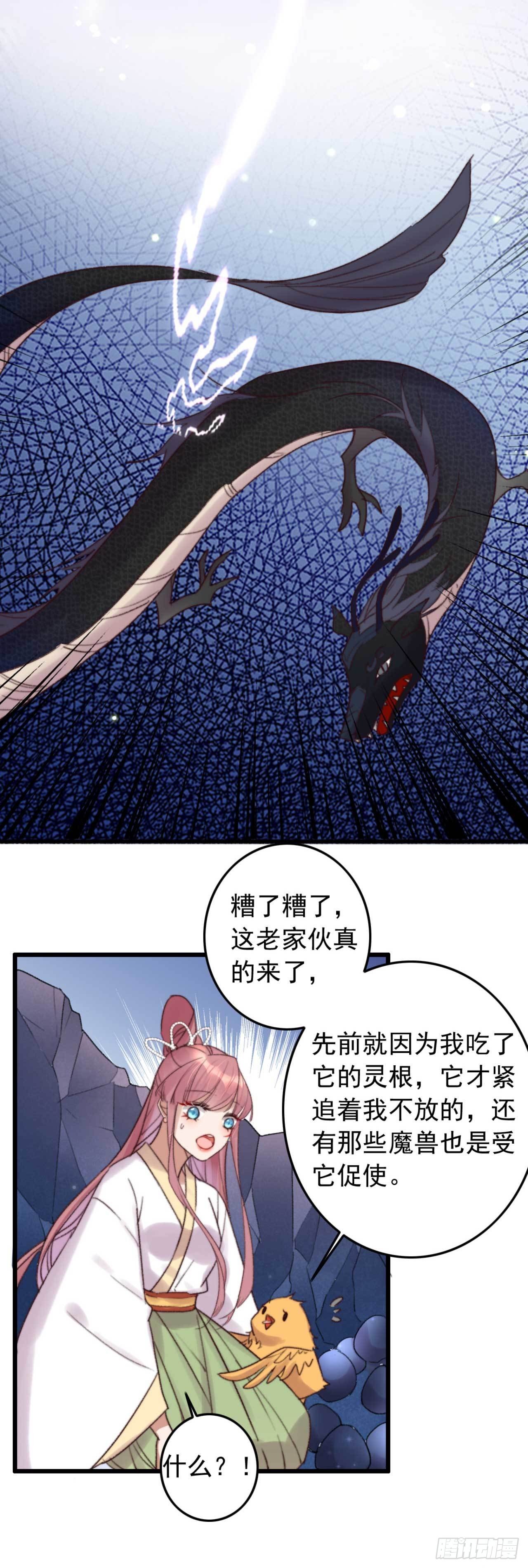 《帝尊狂宠神医特工废材妃》第11话 小黄鸡还是凤凰？ 第18页