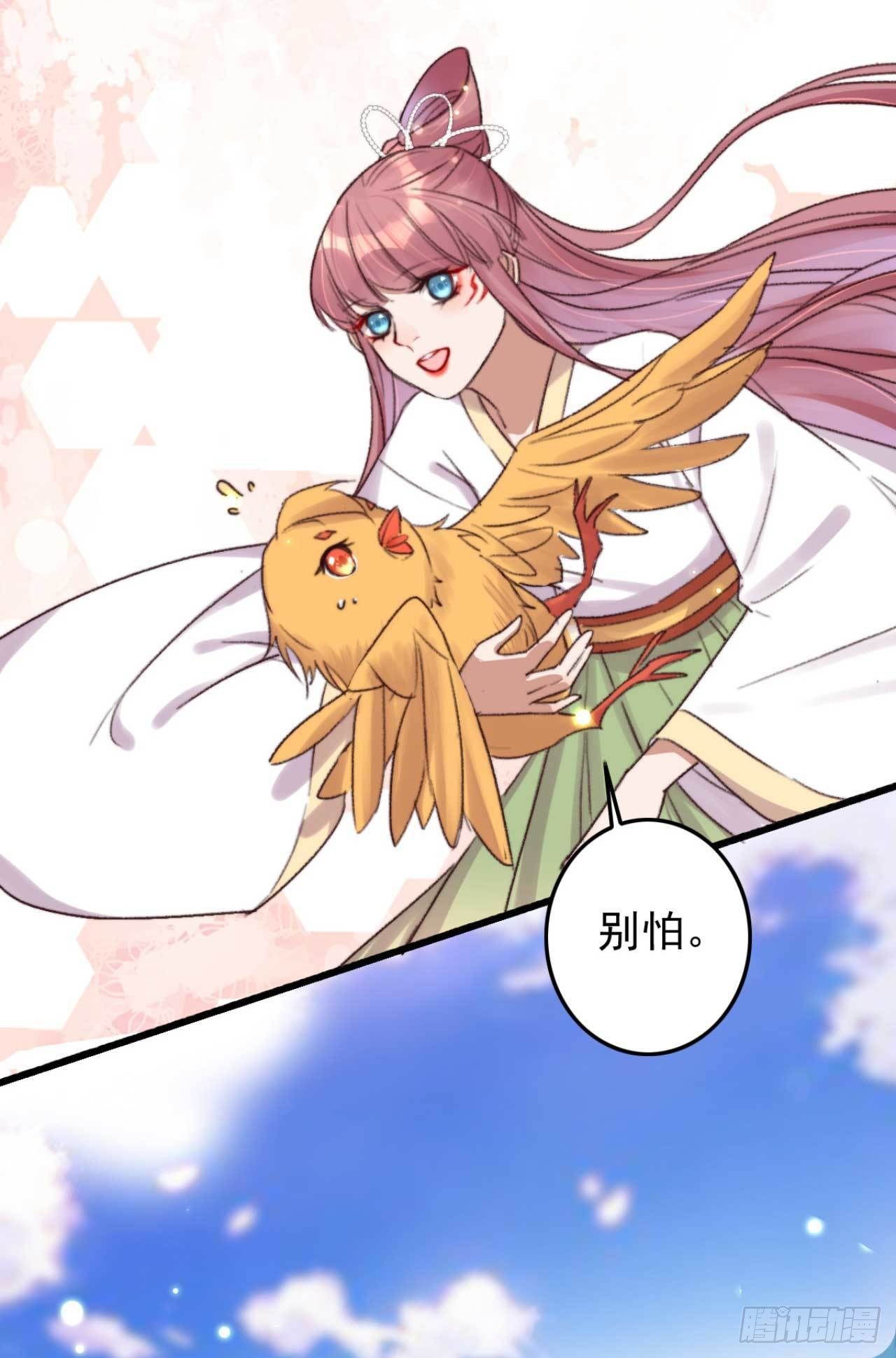 《帝尊狂宠神医特工废材妃》第11话 小黄鸡还是凤凰？ 第4页