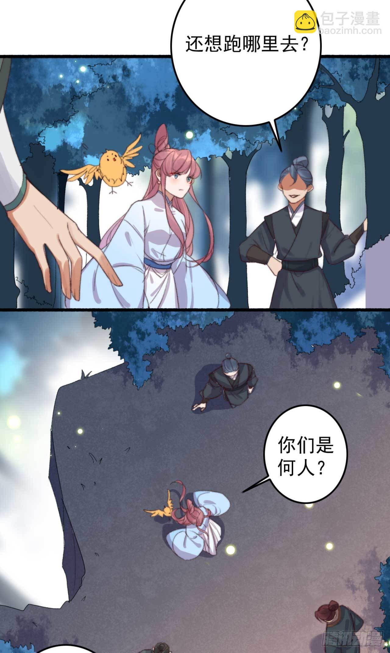《帝尊狂宠神医特工废材妃》第14话 遇袭 第11页