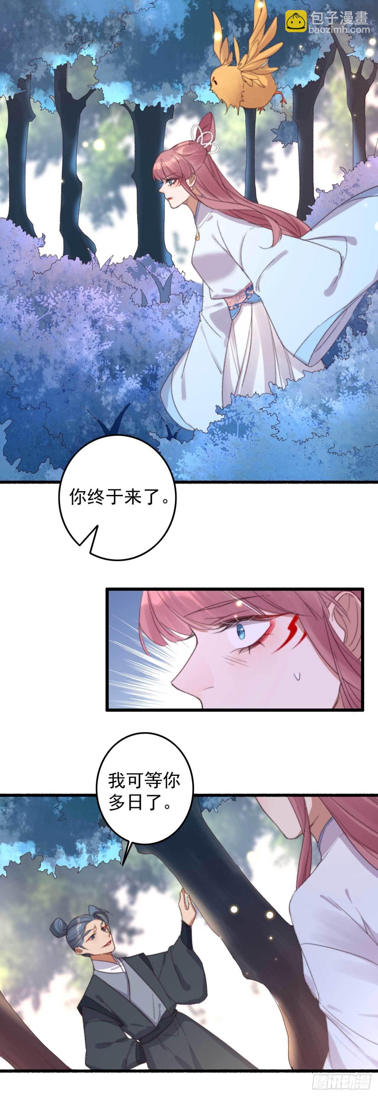 《帝尊狂宠神医特工废材妃》第14话 遇袭 第9页