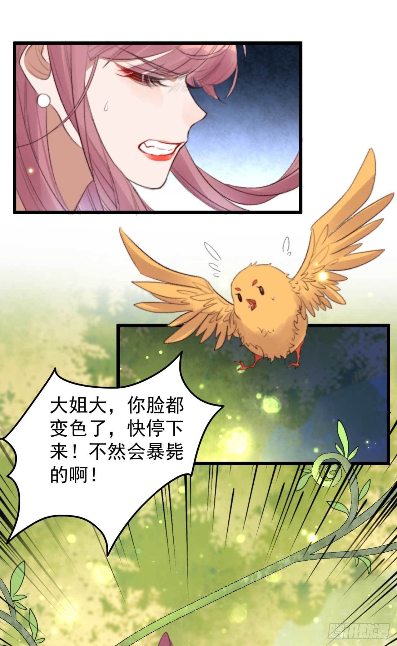 《帝尊狂宠神医特工废材妃》第27话 顶级木源师 第2页