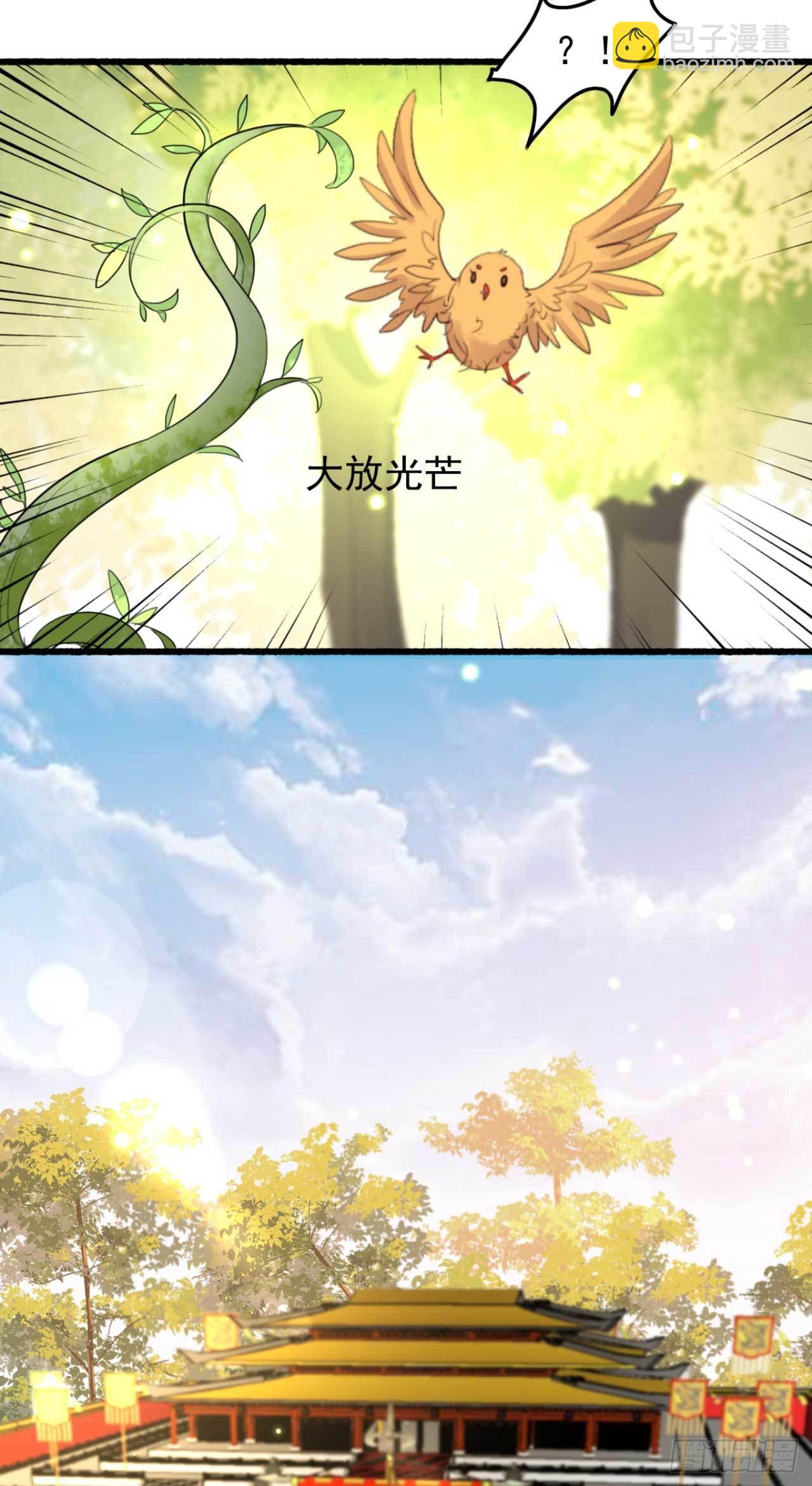 《帝尊狂宠神医特工废材妃》第27话 顶级木源师 第4页