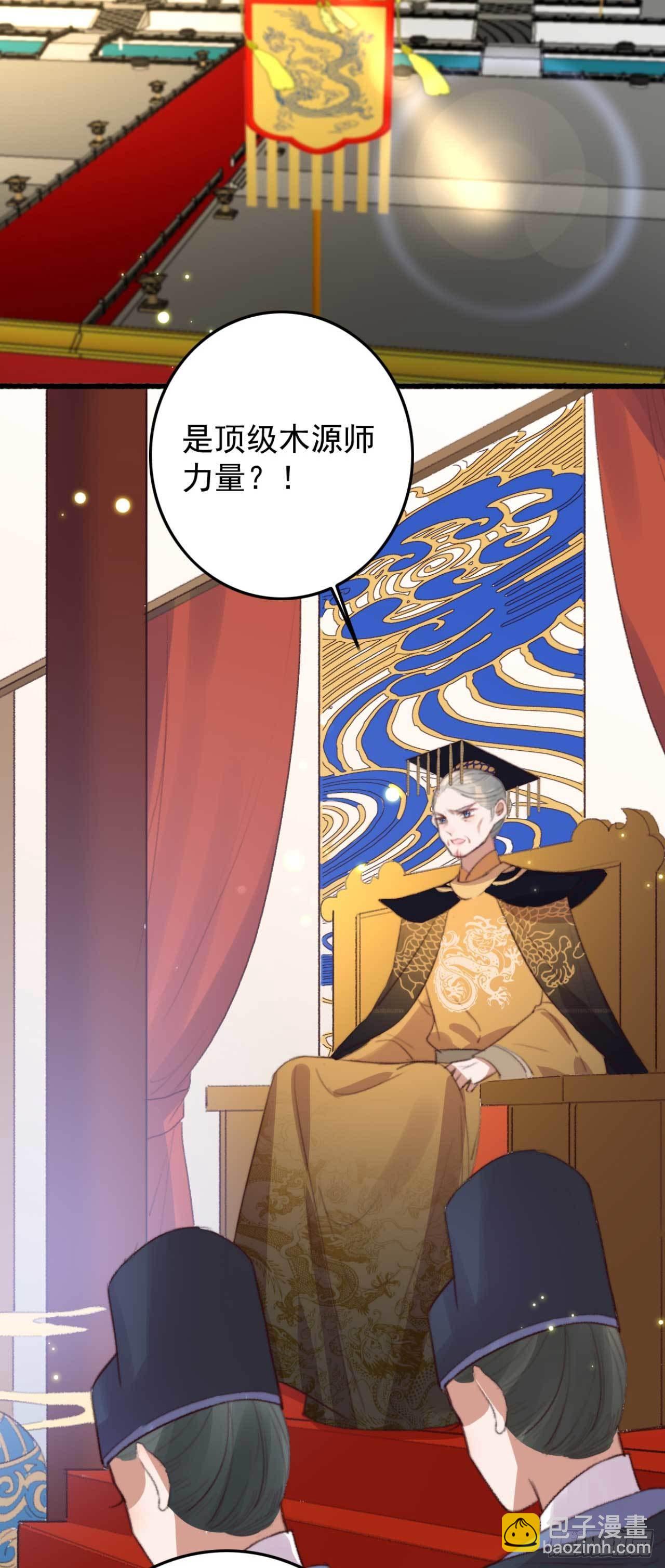 《帝尊狂宠神医特工废材妃》第27话 顶级木源师 第5页