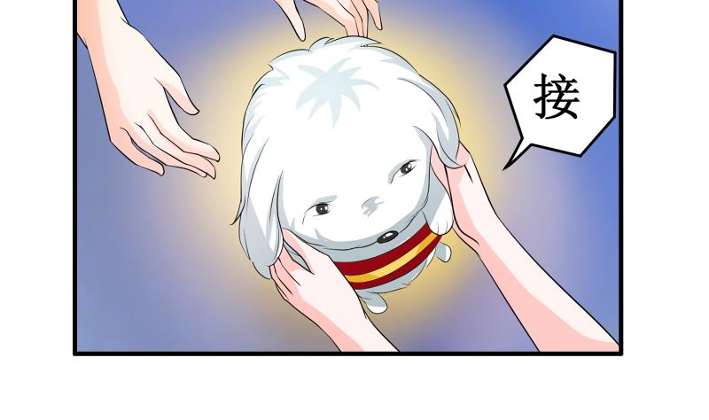 《我不是精英》第16话 转正 第25页