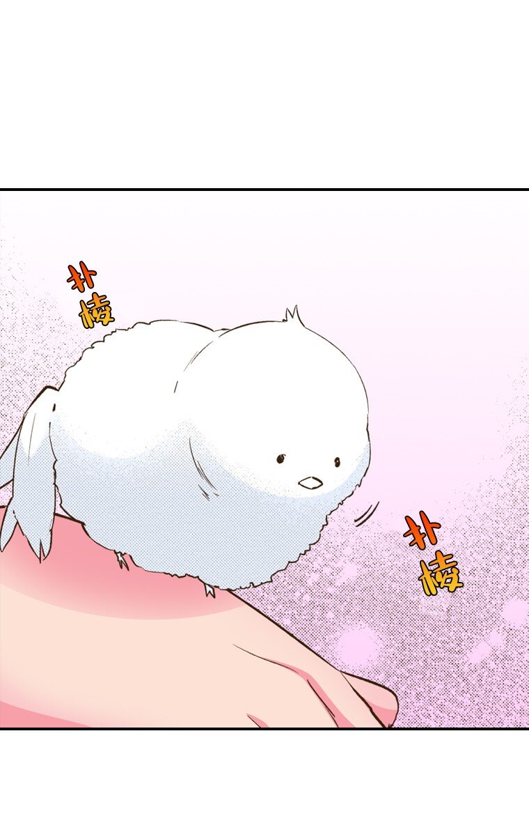 《育神日记（彩色条漫）》5 5 第39页