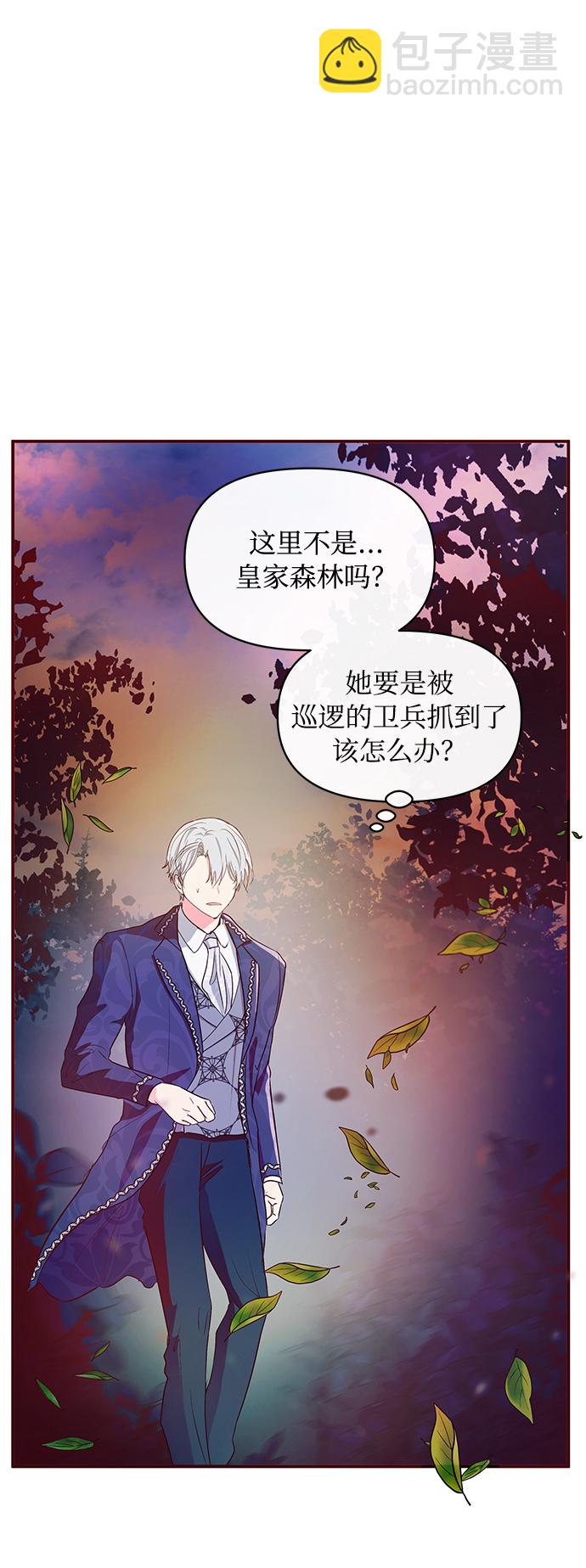 《大公殿下，这是个误会》第8话 第27页