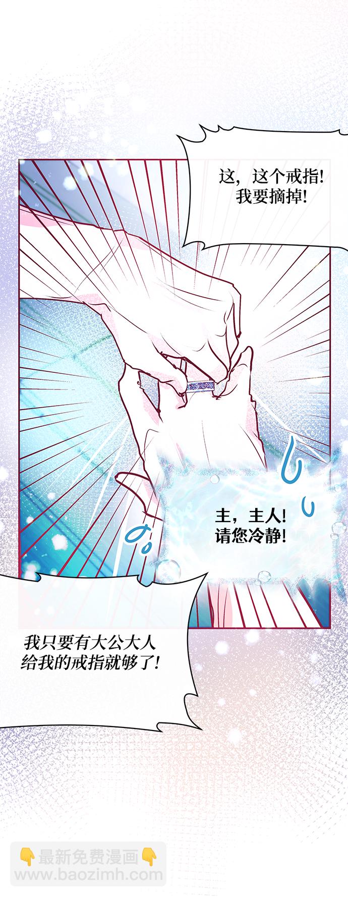 《大公殿下，这是个误会》第29话 第33页