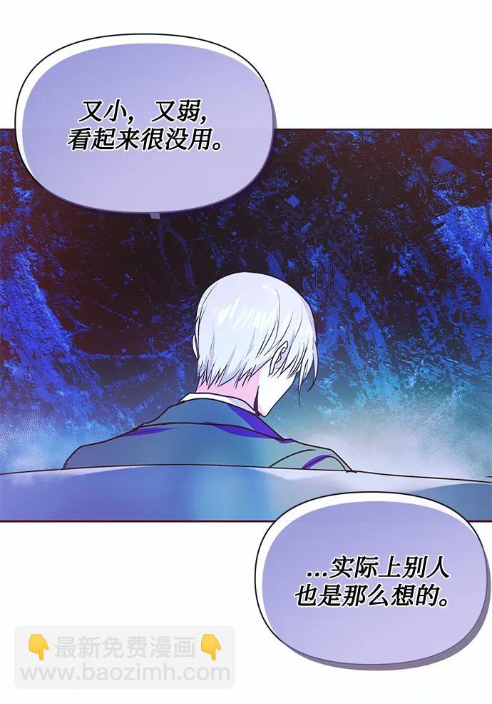 《大公殿下，这是个误会》第47话 第25页