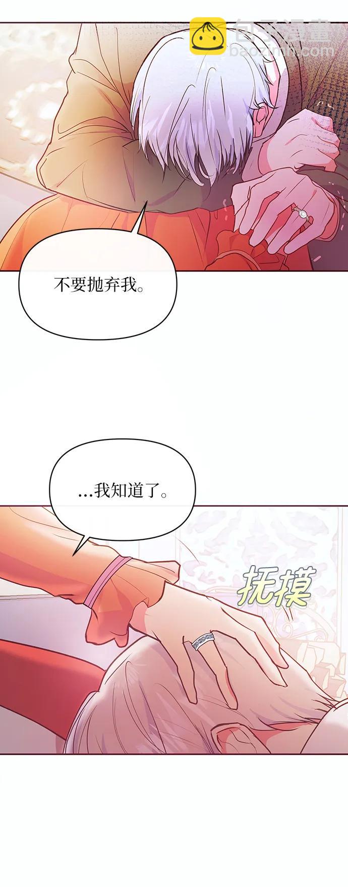 《大公殿下，这是个误会》第48话 第19页