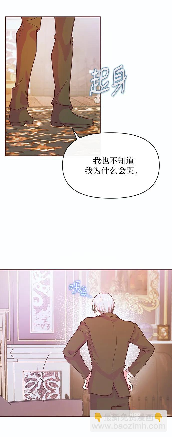 《大公殿下，这是个误会》第48话 第3页