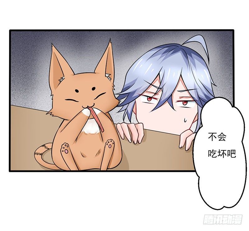 《妖精刺客联盟》03 仙女姐姐？ 第13页