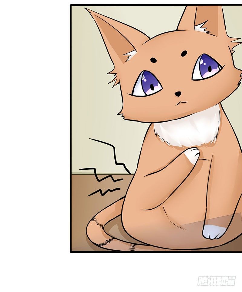 《妖精刺客联盟》03 仙女姐姐？ 第3页