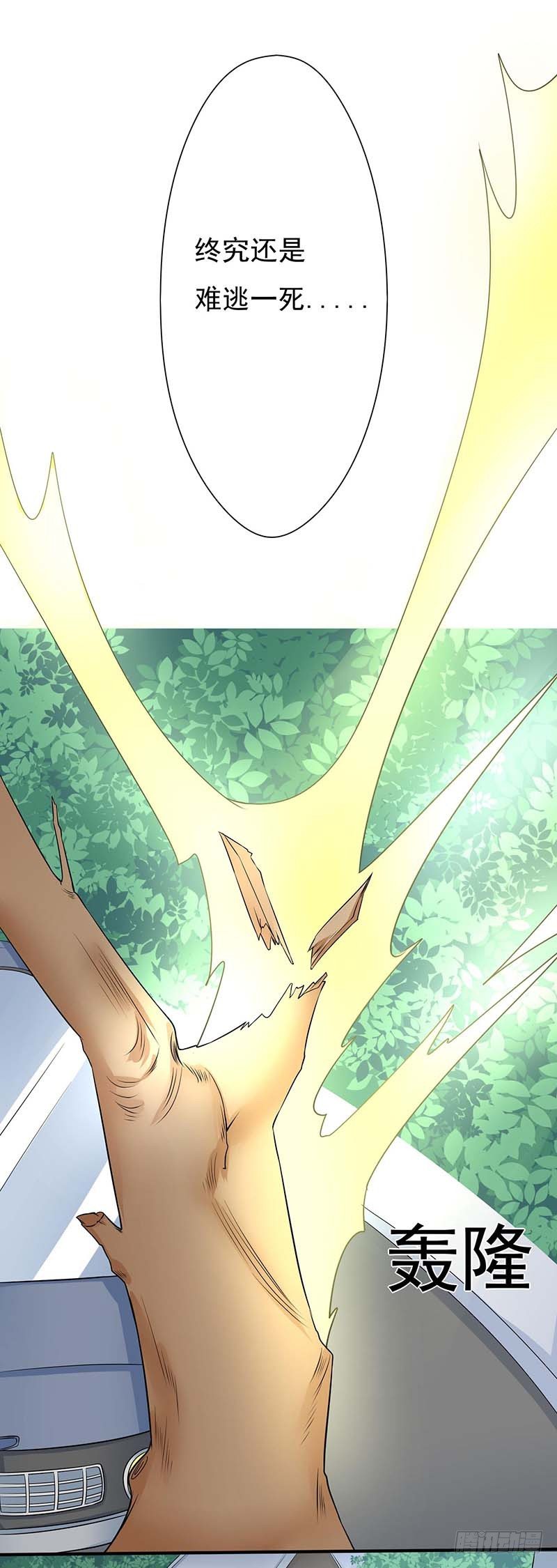 《妖精刺客联盟》01 一场噩梦 第19页