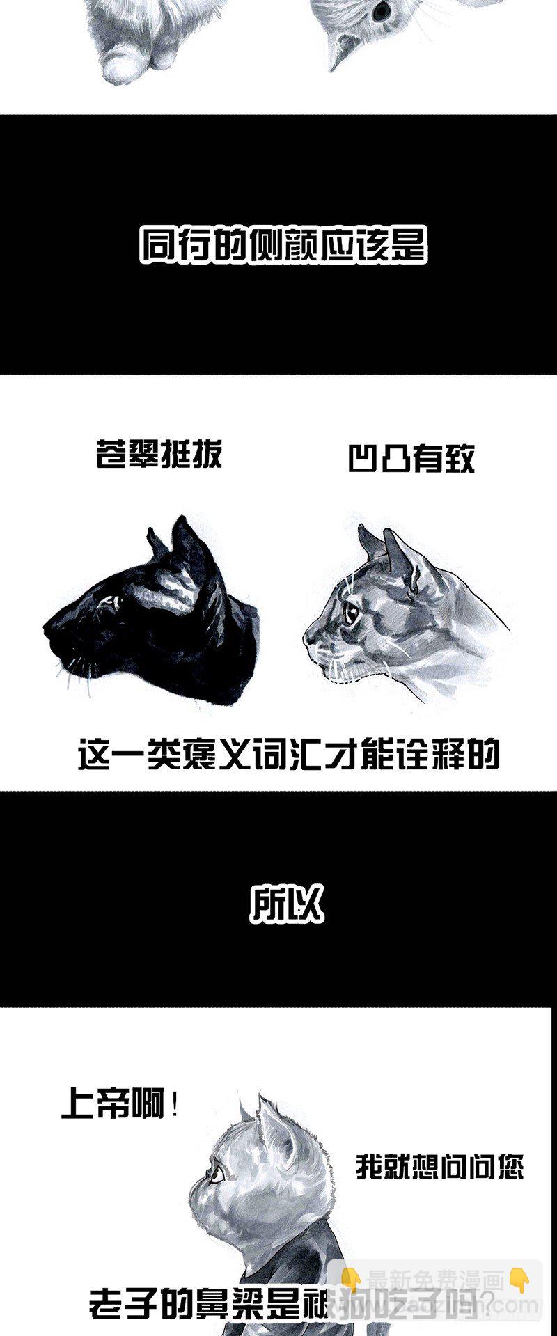 《左手的世界》养虎为患 第10页