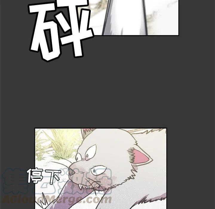 《惊奇宠物店》3 第40页