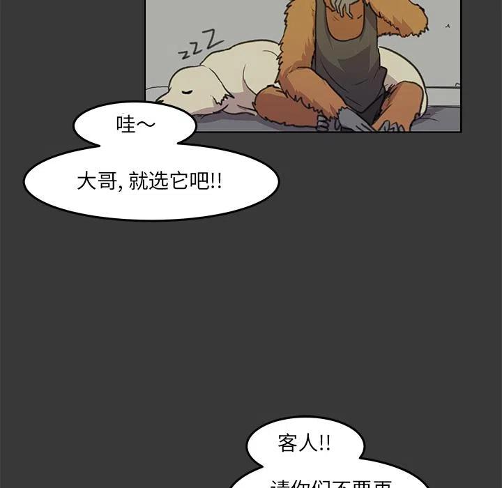 《惊奇宠物店》11 第8页