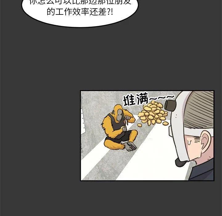 《惊奇宠物店》14 第38页