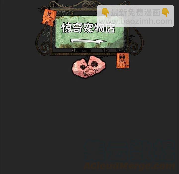 《惊奇宠物店》19 第41页
