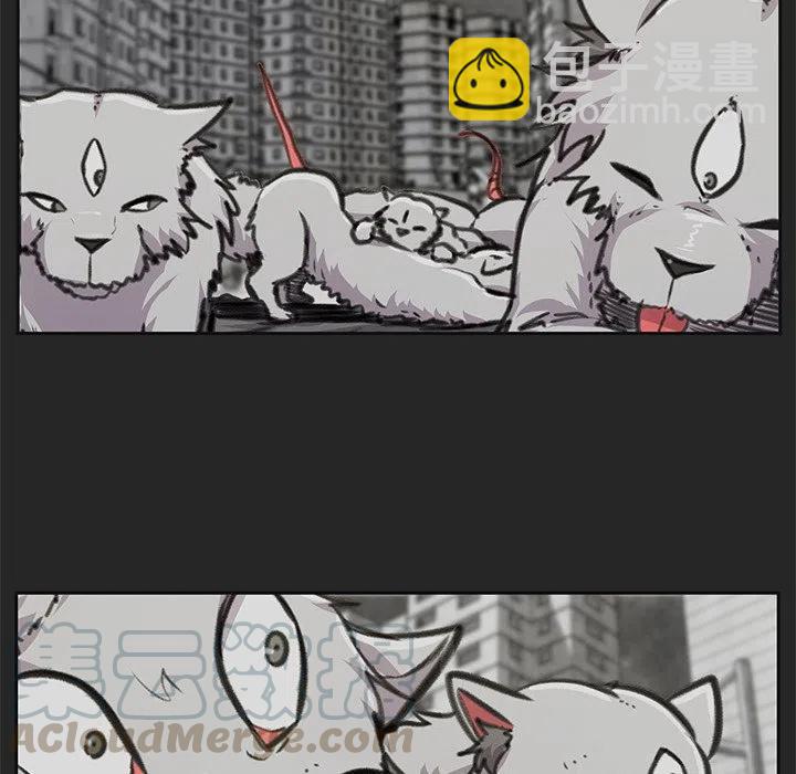 《惊奇宠物店》21 第5页