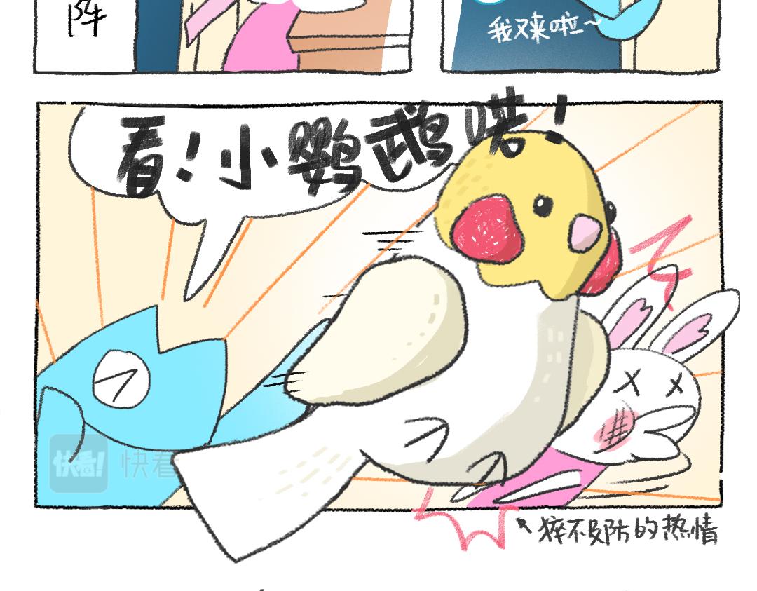 《打工兔日记》平凡的第35天—编织暖暖的冬天 第9页