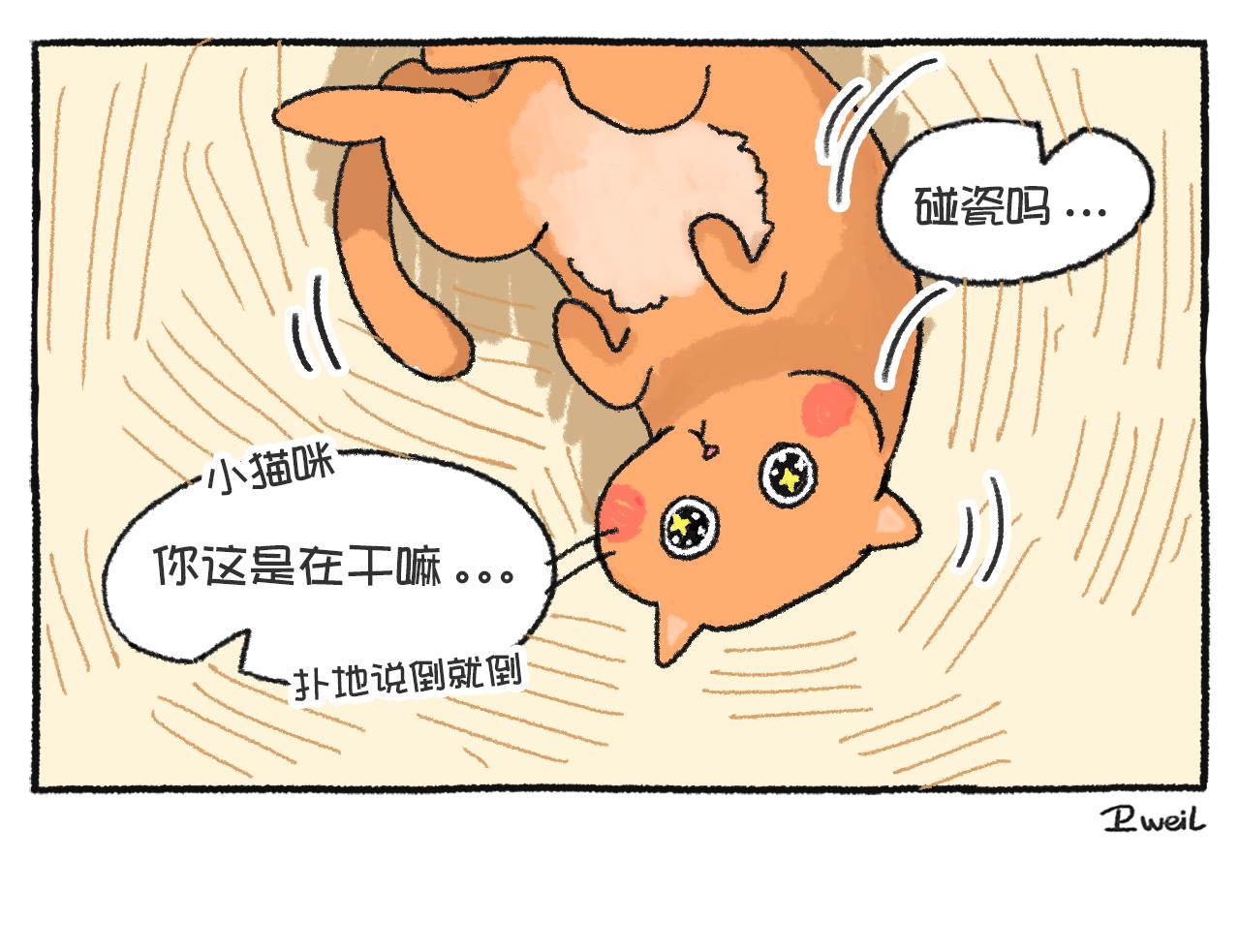 《打工兔日记》第46天_凑热闹的小猫咪?? 第4页