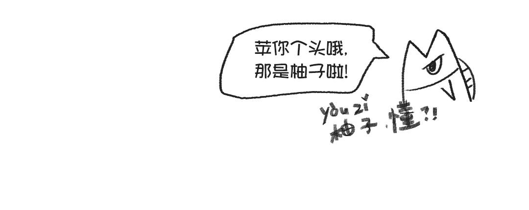 《打工兔日记》平凡的第43天—失眠好苦好苦 第6页