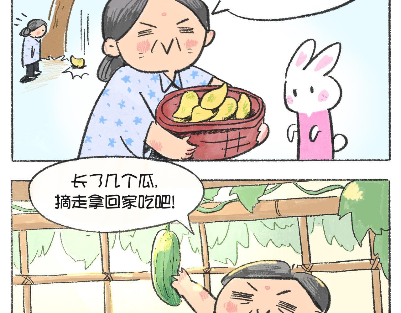 《打工兔日记》第54天—荔枝与外婆 第15页