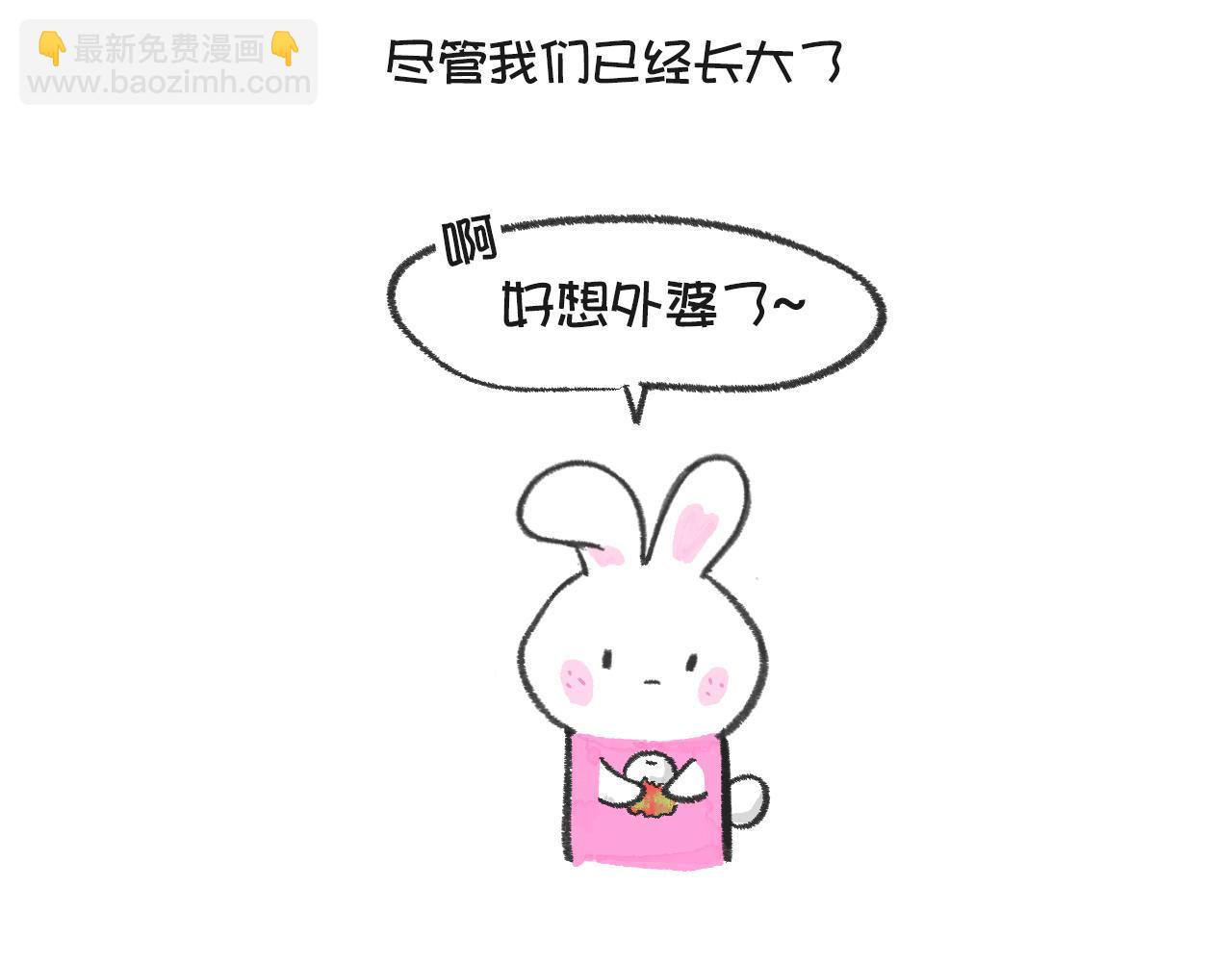 《打工兔日记》第54天—荔枝与外婆 第19页