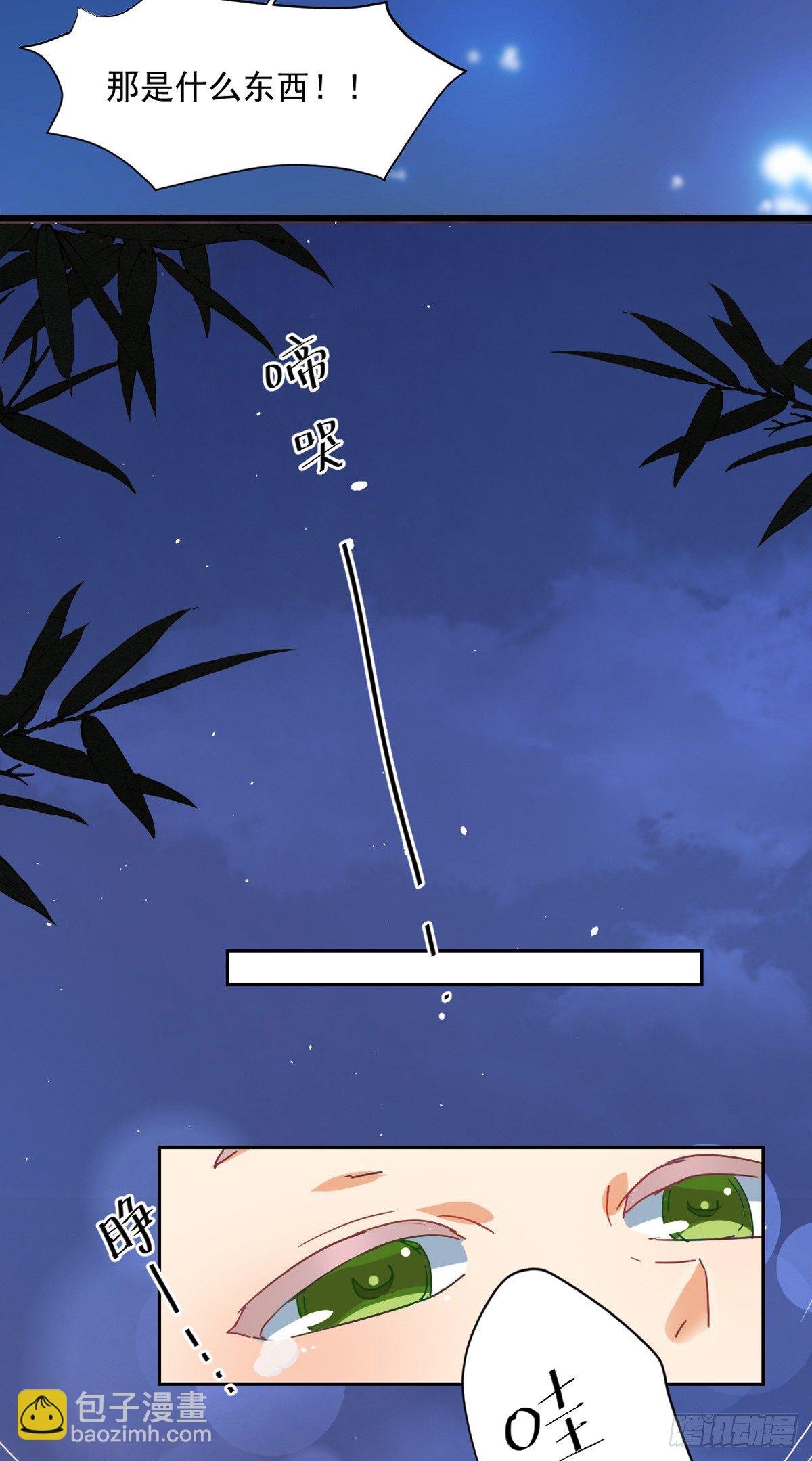 《天才郡主的成皇之路》序章 第5页